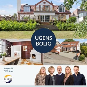 Opslagsbillede