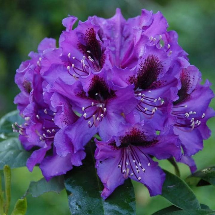 En finger på pulsen i Brønderslev