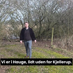 Opslagsbillede