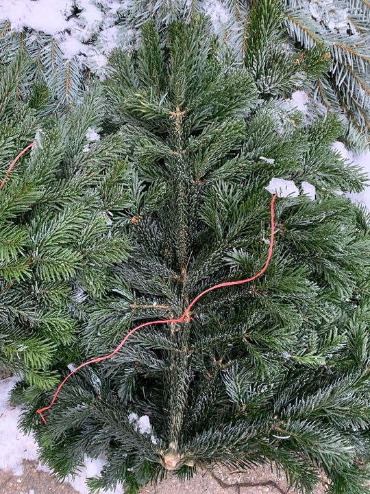 Opslagstavlen: Nyeste opdateringer fra Brønderslev