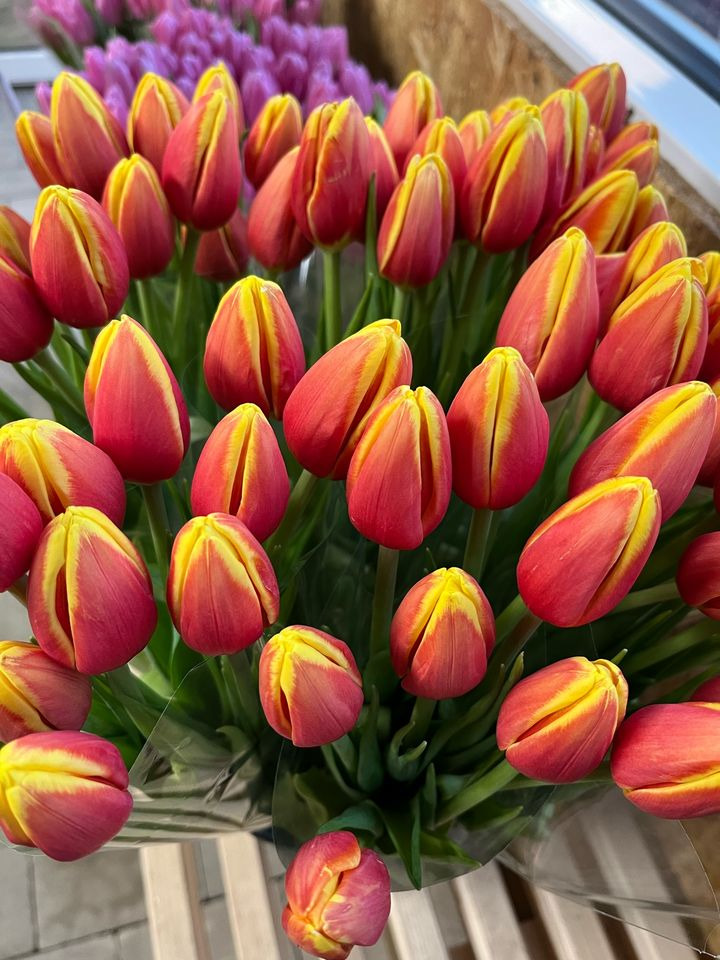 Hold trit med lokalområdet: Nyt fra Odder