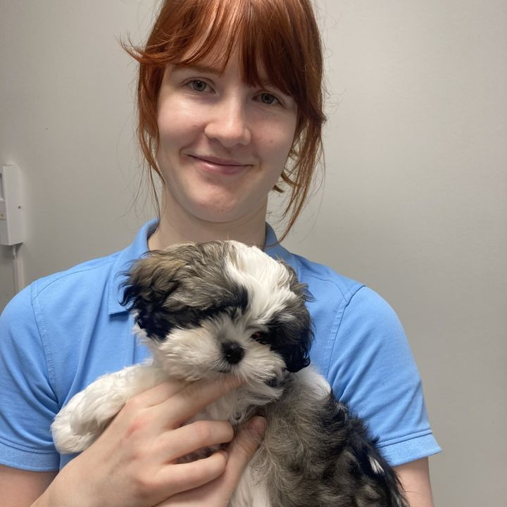 Nyt på opslagstavlen i Risskov