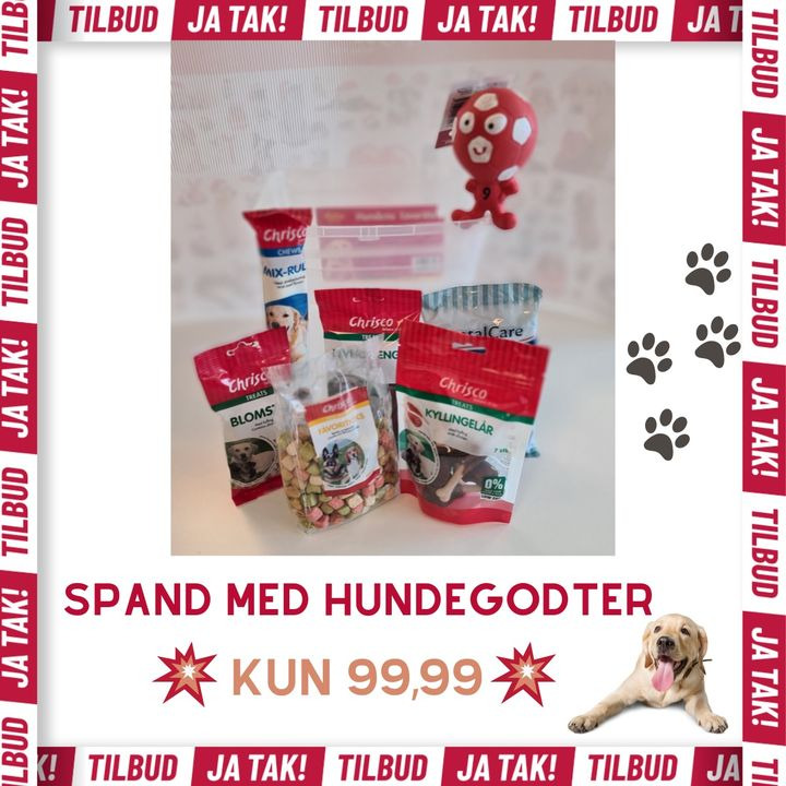 Opslagstavlen: Nyeste opdateringer fra Odder