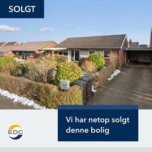 Opslagsbillede