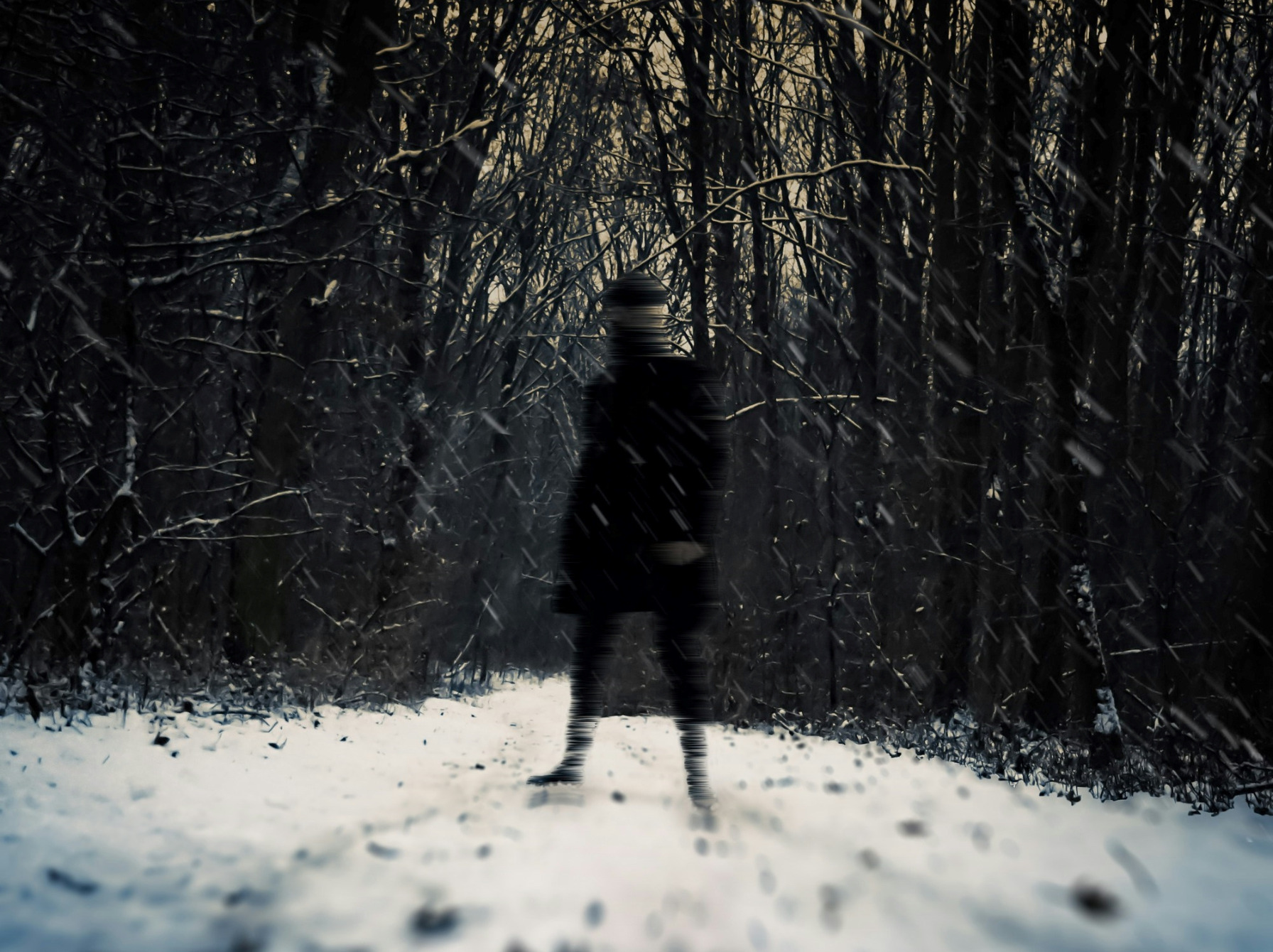 Kritisk foredrag om litteraturhistorie på Dyssegård Bibliotek