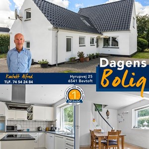 Opslagsbillede