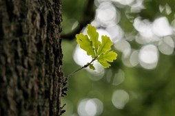 Fælles temamøde om kulturstrategi i Egedal