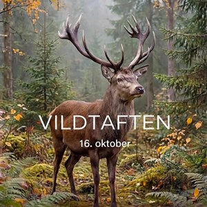 Opslagsbillede