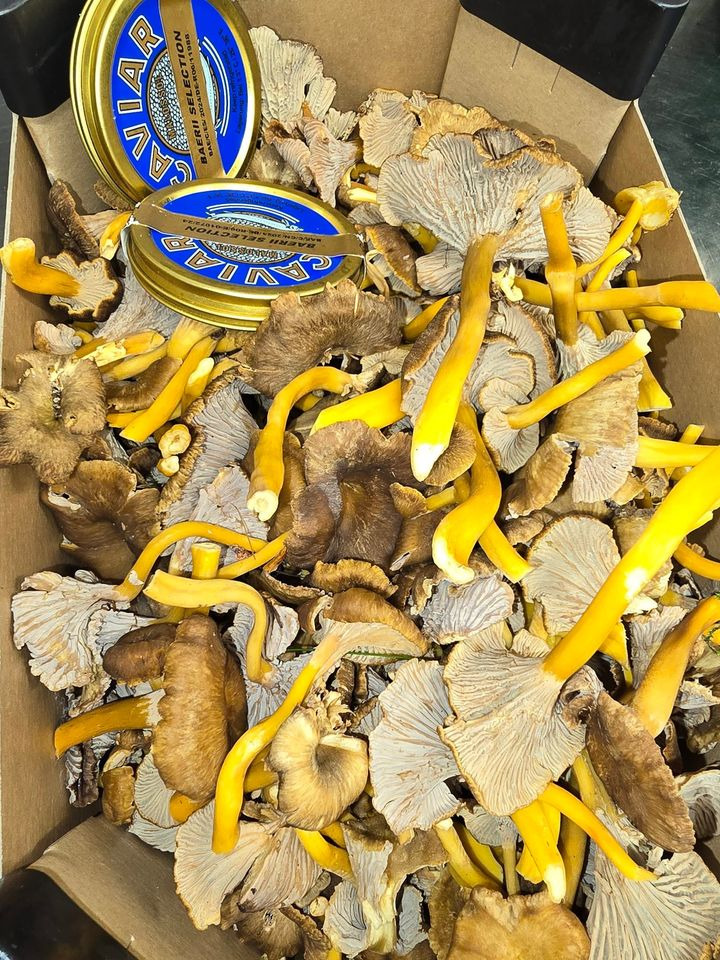 Café Tidslös tilbyder skræddersyet private dining til en eksklusiv champagneaften derhjemme