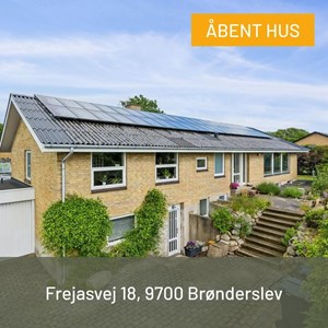 opslagsbillede