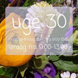 Opslagsbillede