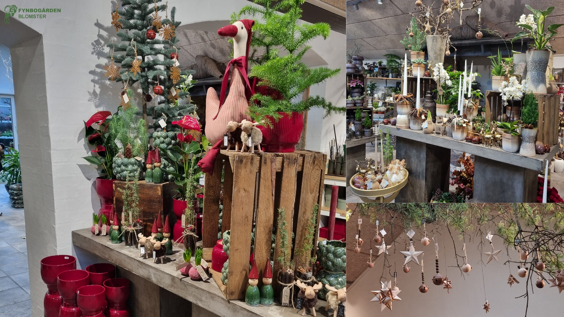 Blomster, dekorationer og julehygge – alt samlet hos Fynbogården Blomster