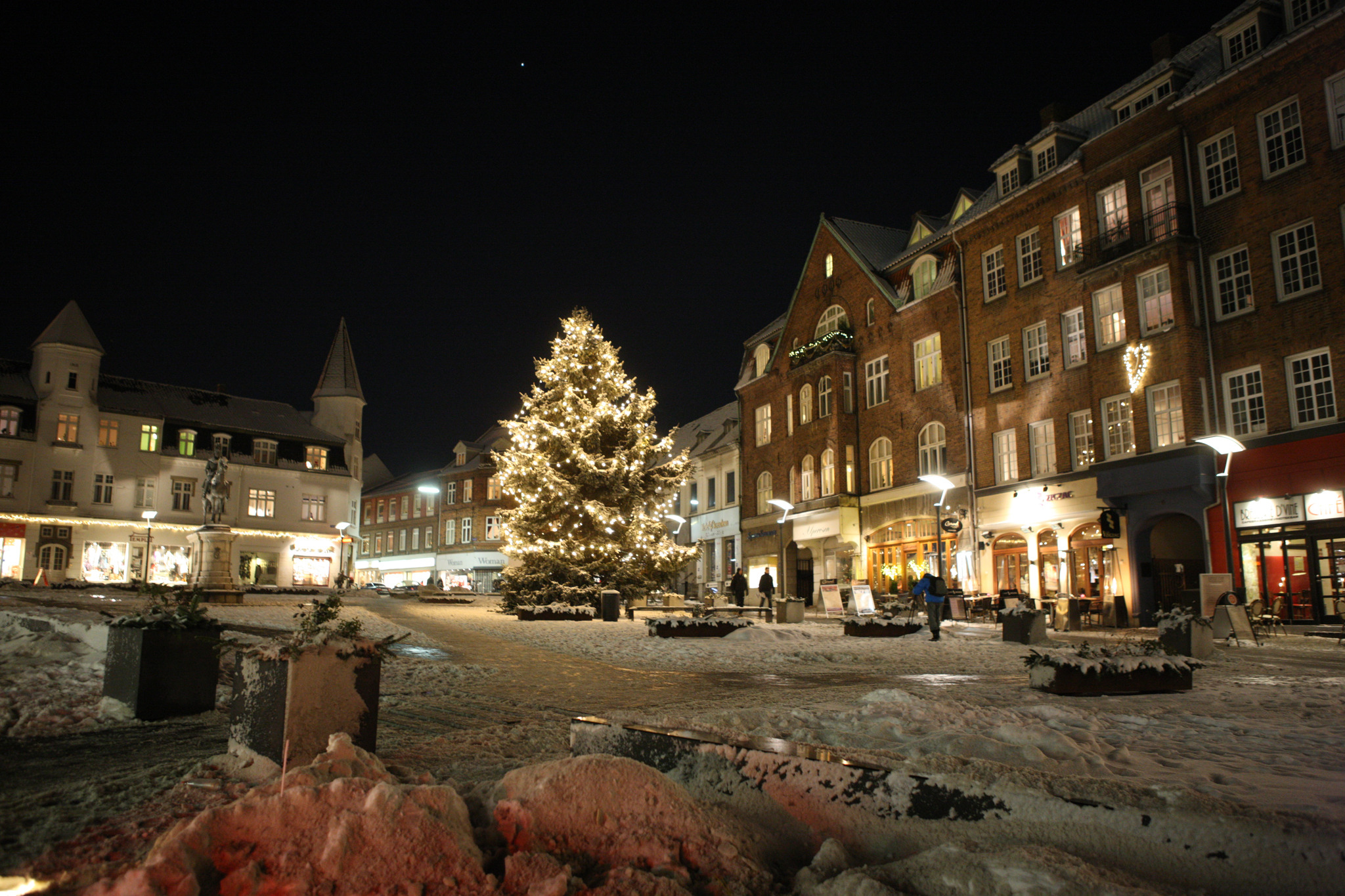 Slagelse opfordrer borgere til at donere grantræer til byens juleudsmykning