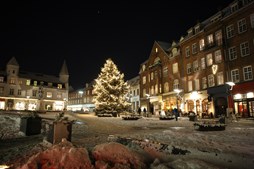 Slagelse opfordrer borgere til at donere grantræer til byens juleudsmykning