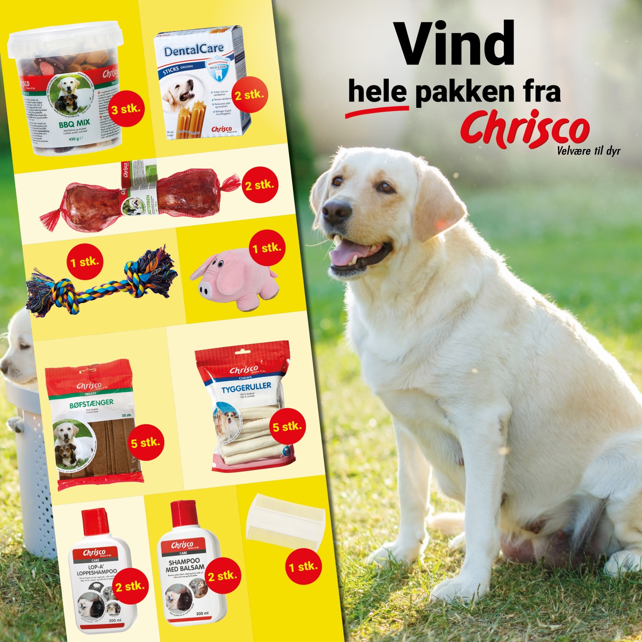 Hold dig opdateret på lokale nyheder fra sociale medier