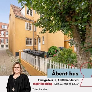 Opslagsbillede