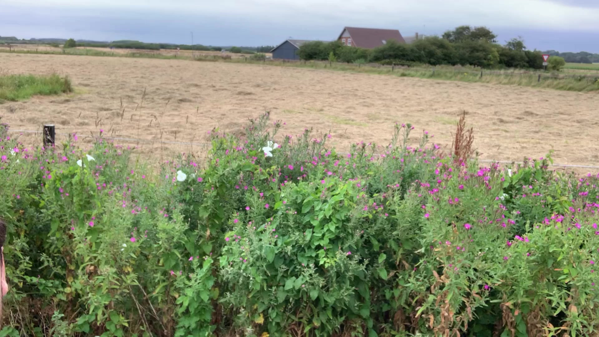 Sejerslevvej 107 solgt på rekordtid af Home Tønder