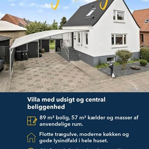 Opslagsbillede