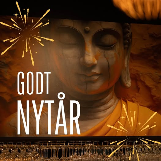 Nagomi Sushi takker for året og ser frem til 2026 med nye oplevelser