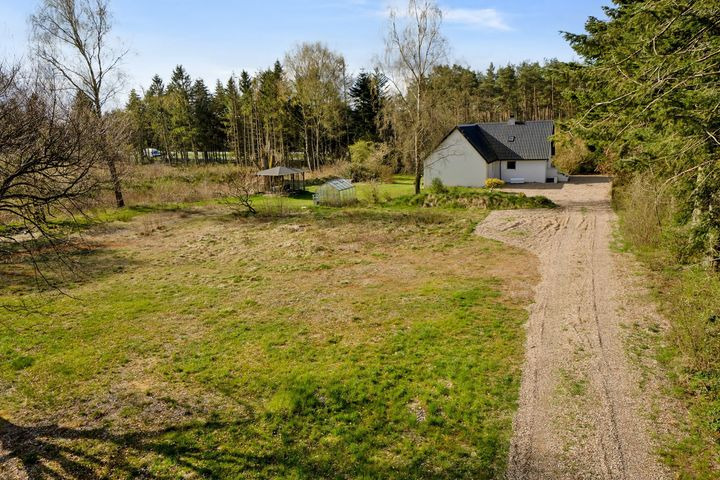 En finger på pulsen i Hammel