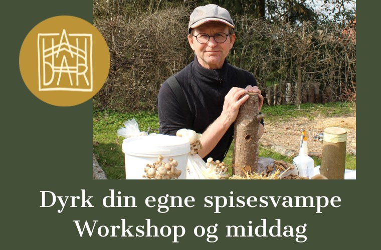 Dyrk dine egne svampe på Skolegaarden Handar