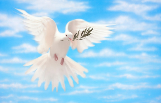 Mindeord - Ruth Solvej Carlsen