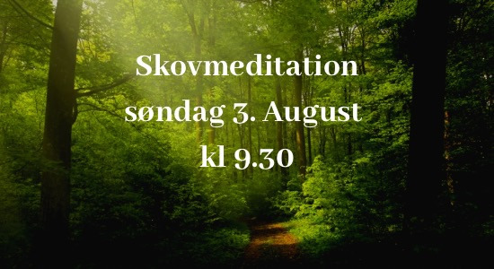 Skovmeditation Kolding inviterer til afslappende søndag i naturen