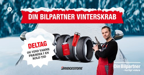 Opslagsbillede
