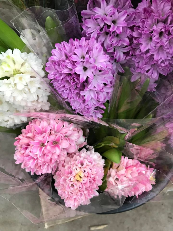 Se dagens updates fra Odder her