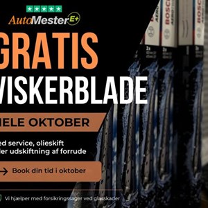 Opslagsbillede