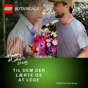 opslagsbillede