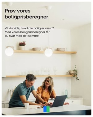 opslagsbillede