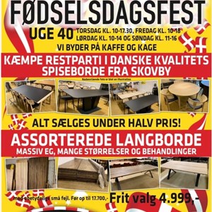 Opslagsbillede
