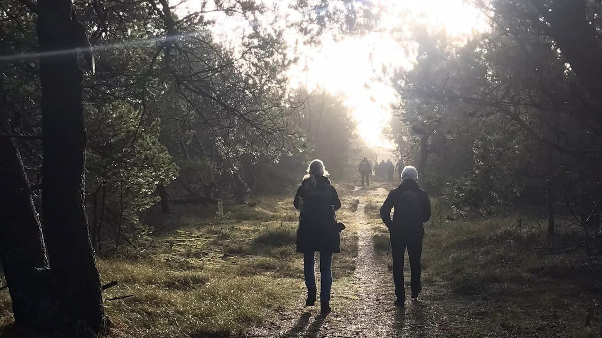 Forårsvandring i Stensbæk Plantage