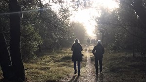 Forårsvandring i Stensbæk Plantage