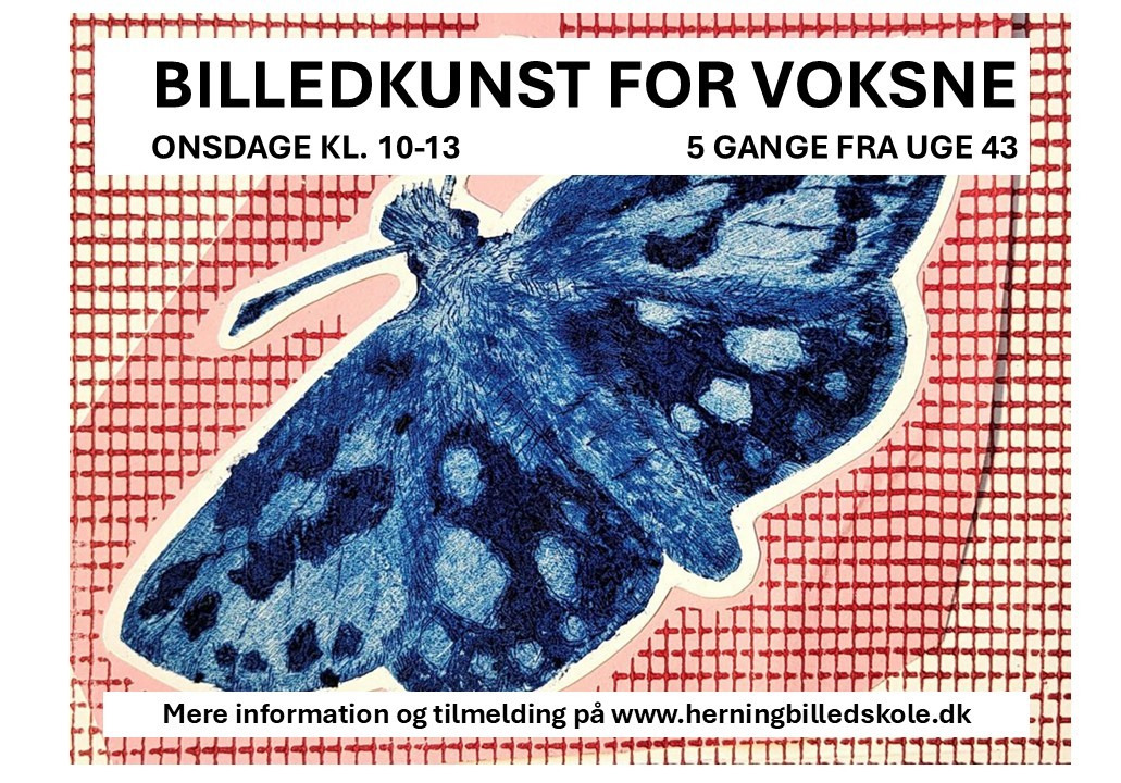 Billedkunst for voksne på Herning Billedskole