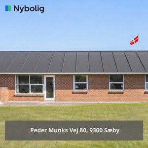 Opslagsbillede