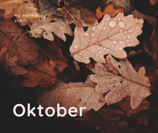 Zones By Gitte annoncerer efterårsferie og ledige tider i uge 42