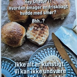 Opslagsbillede