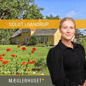 Opslagsbillede