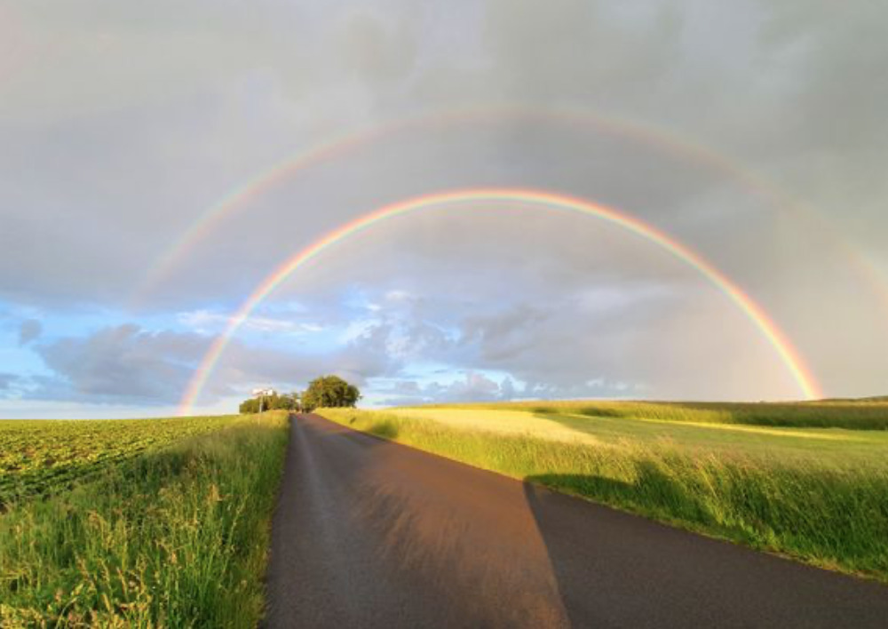 Fire af dine rejser er gratis i sommerperioden