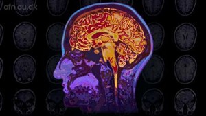 Oplev spændende arrangementer på Solrød Bibliotek og Kulturhus