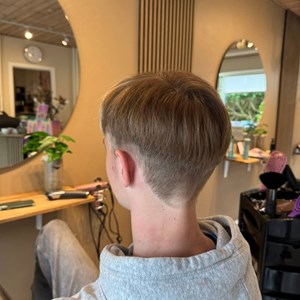 opslagsbillede