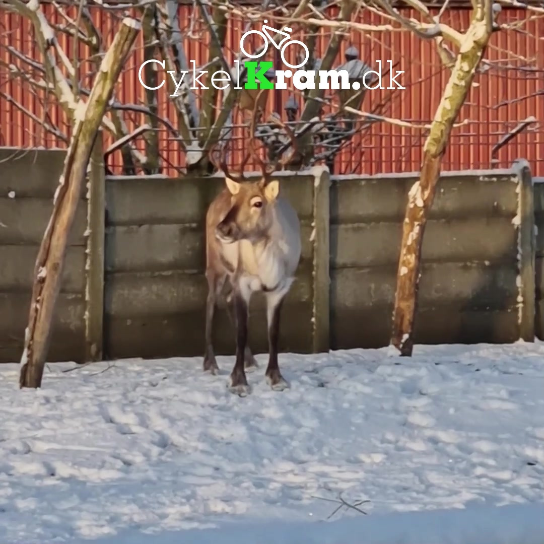 Nyt på opslagstavlen i Kibæk