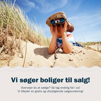 Opslagsbillede