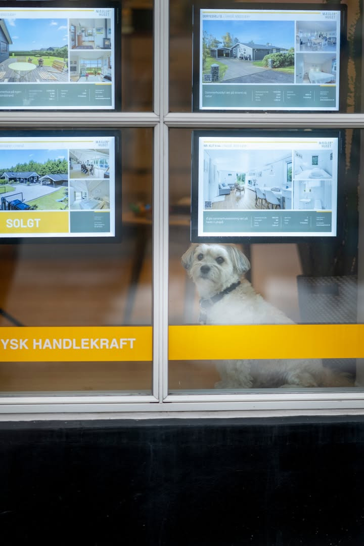 Mæglerhuset Sæby inviterer til åbent hus og bolignyt i weekenden
