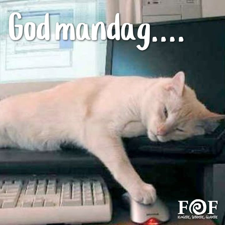 Nyt på opslagstavlen i Horsens