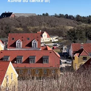 Opslagsbillede
