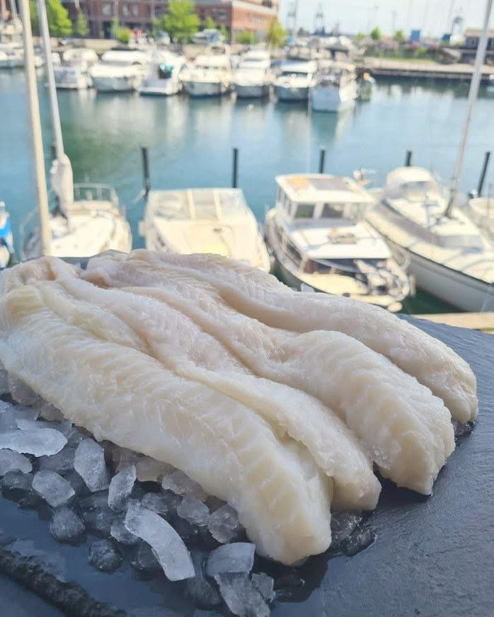 Havnens Fisk Øster Hurup: Friske fisk tilbud for mandag i uge 7