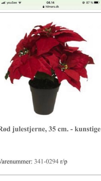 Dagens topnyheder på sociale medier fra dit område